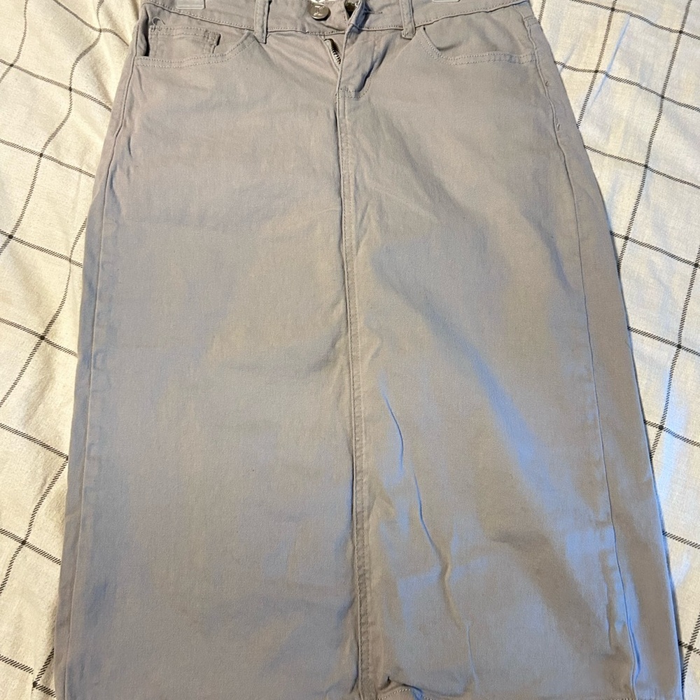 Inherit Remi Elegant Grey Women's Skirt